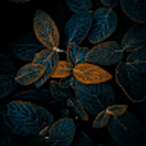 Meet your Posher, Briana